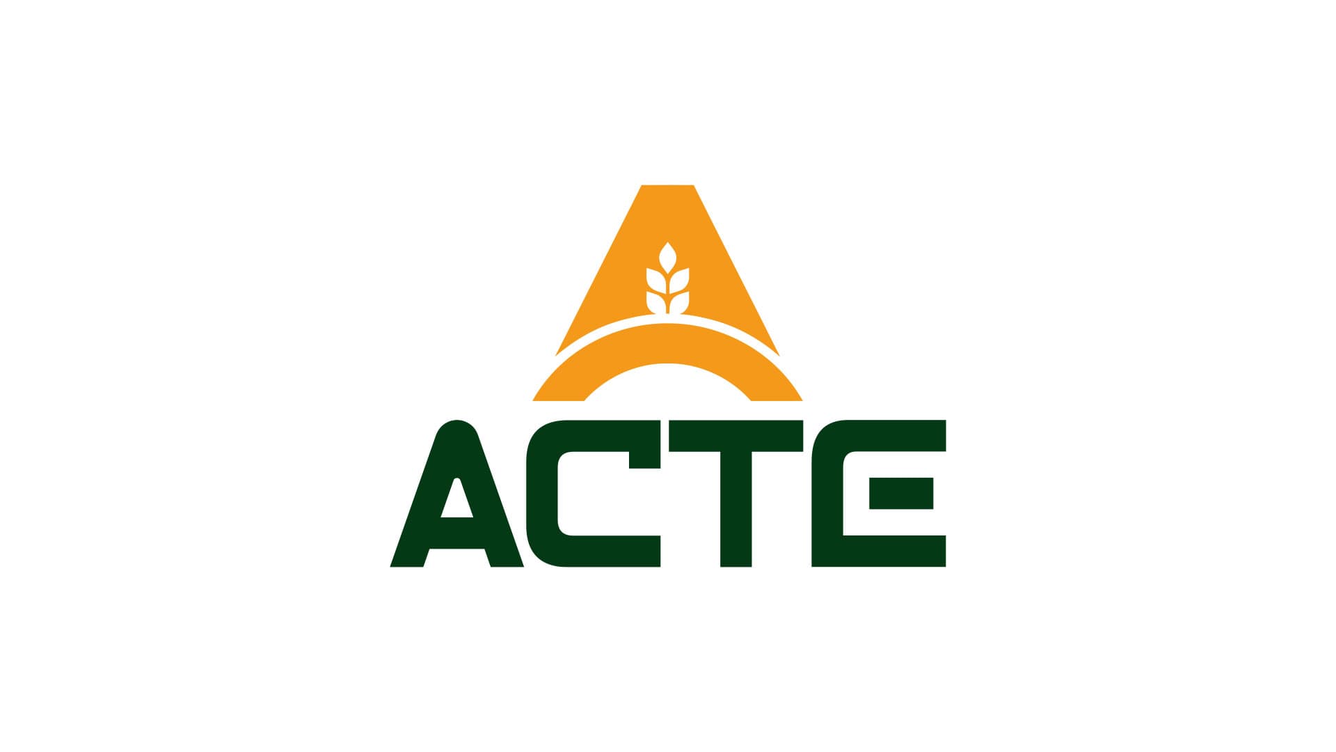 Acte Logo & Visual Identity gallery image 1