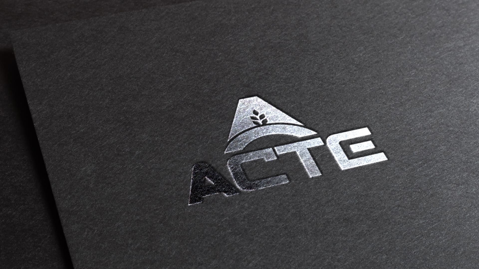 Acte Logo & Visual Identity gallery image 2