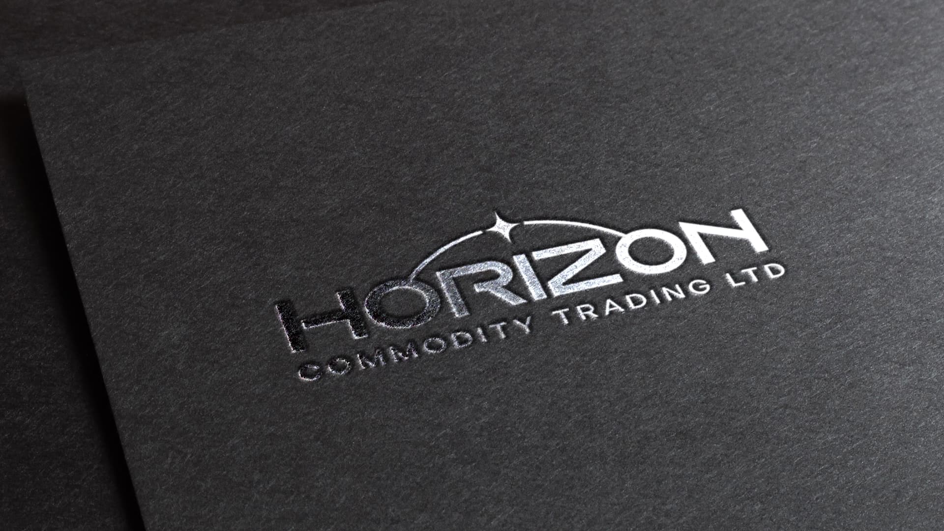 Horizon International Logo & Visual Identity gallery image 2