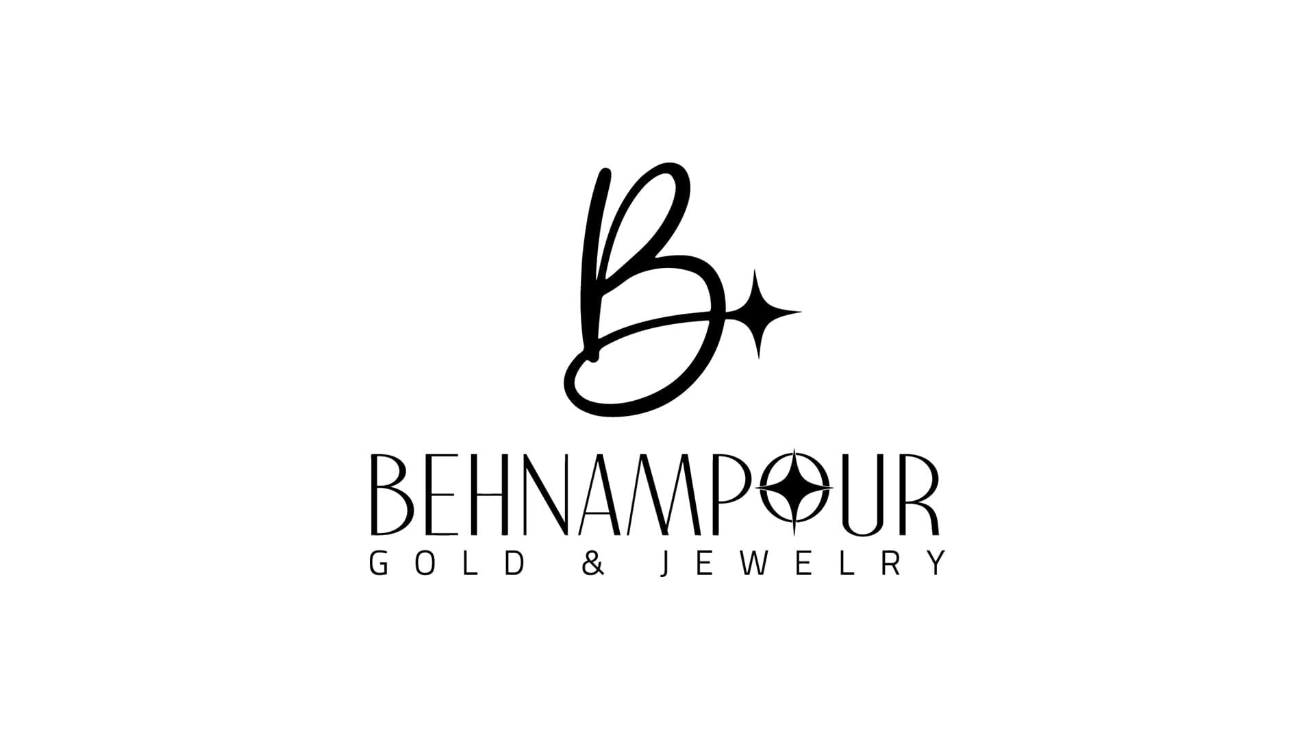 Behnampour Logo & Visual Identity gallery image 1