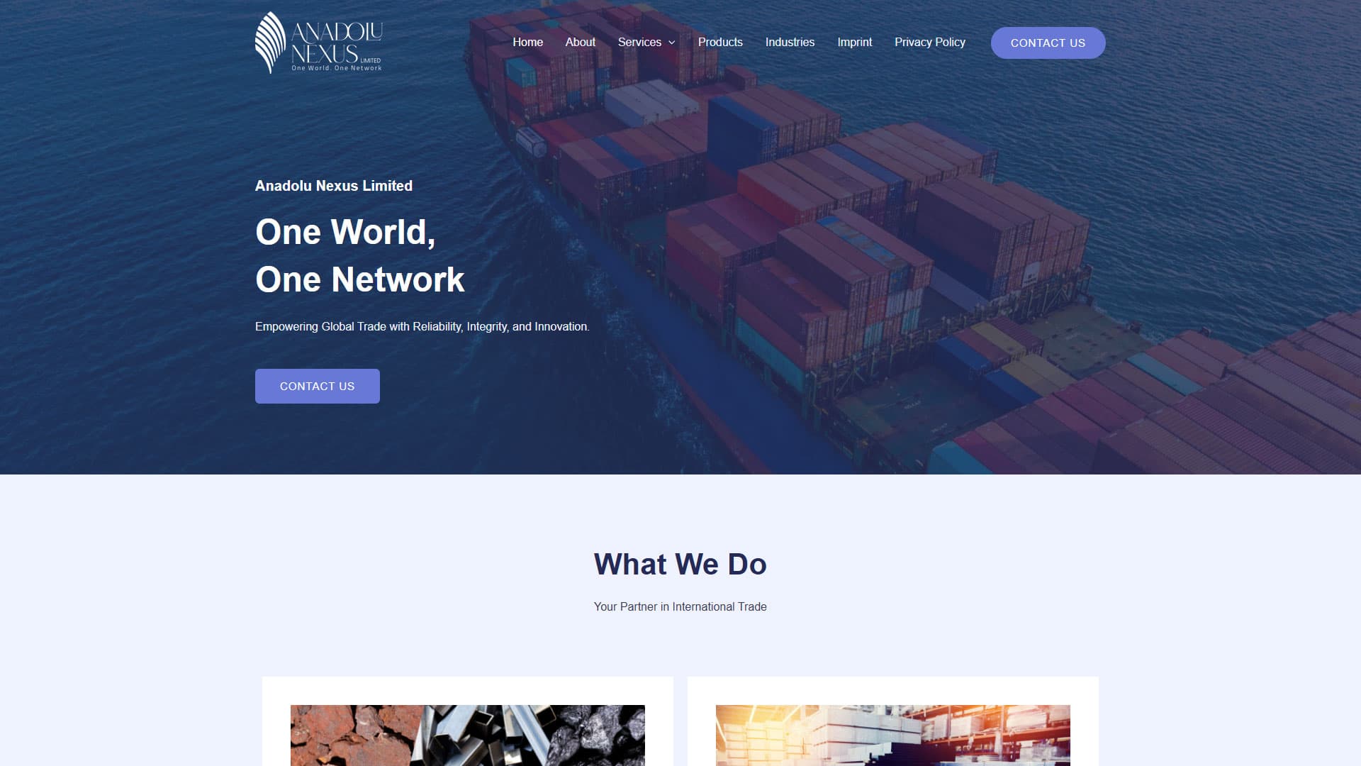 Anadolu Nexus Global Trade Web Presence