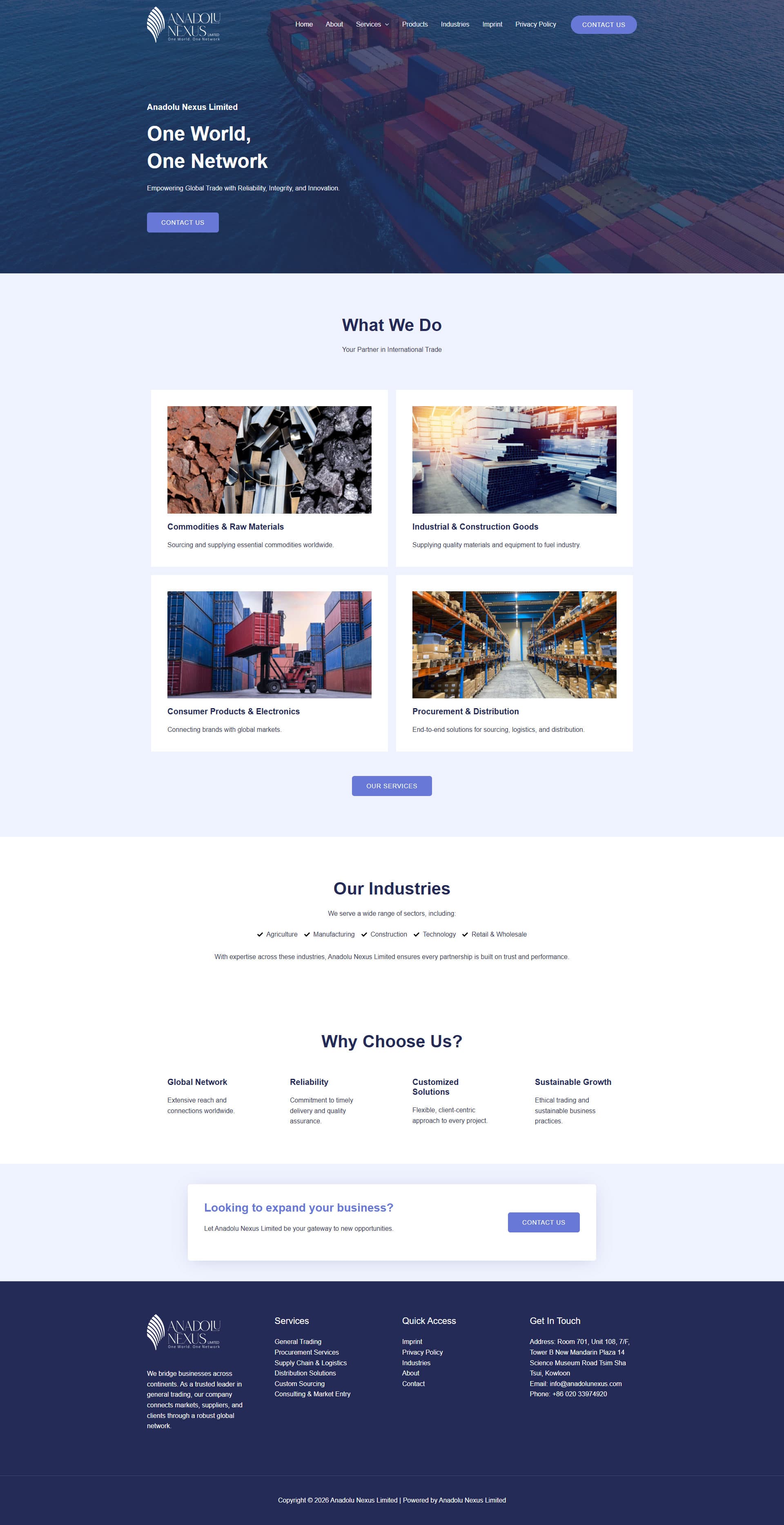 Anadolu Nexus Global Trade Web Presence gallery image 1