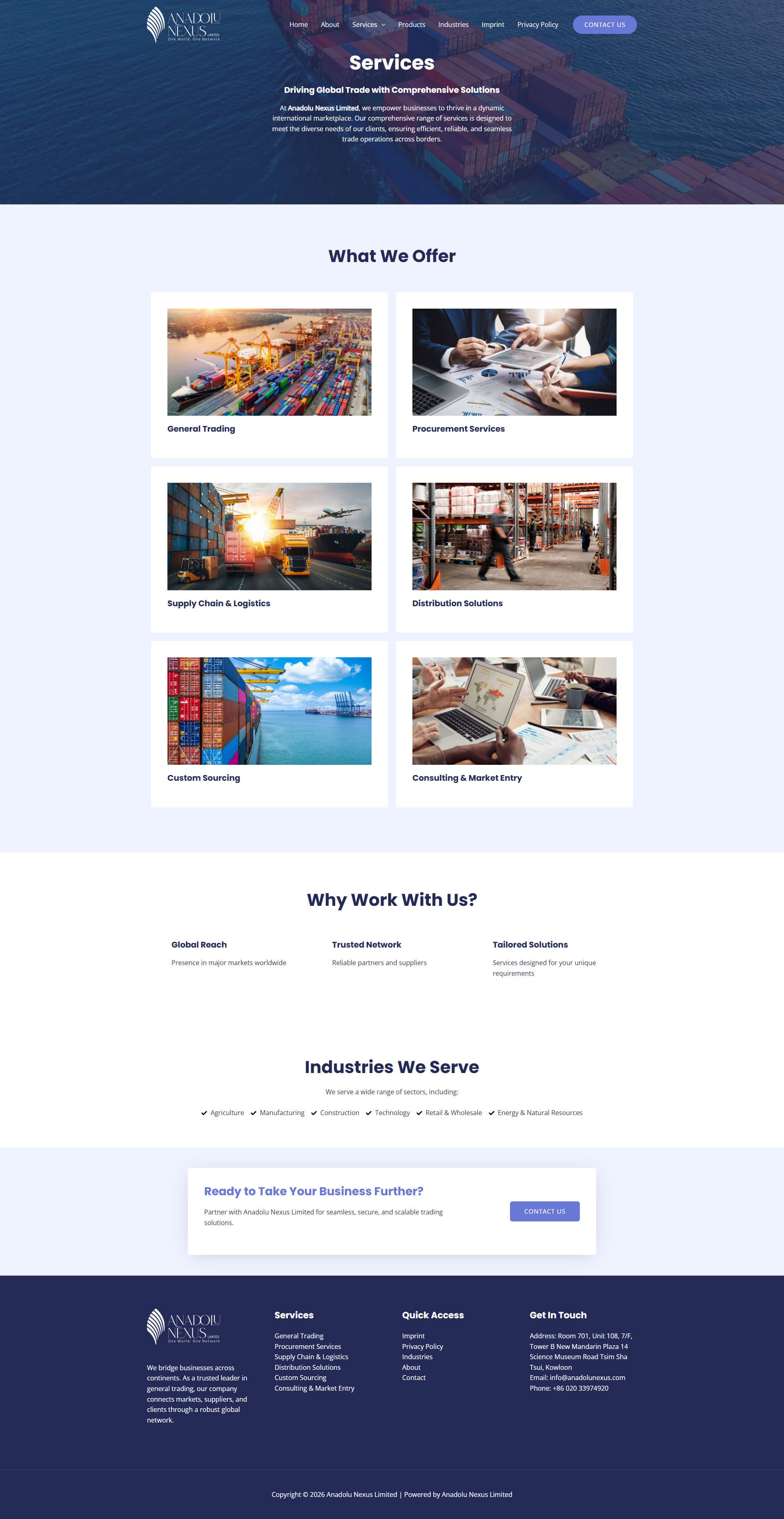 Anadolu Nexus Global Trade Web Presence gallery image 3