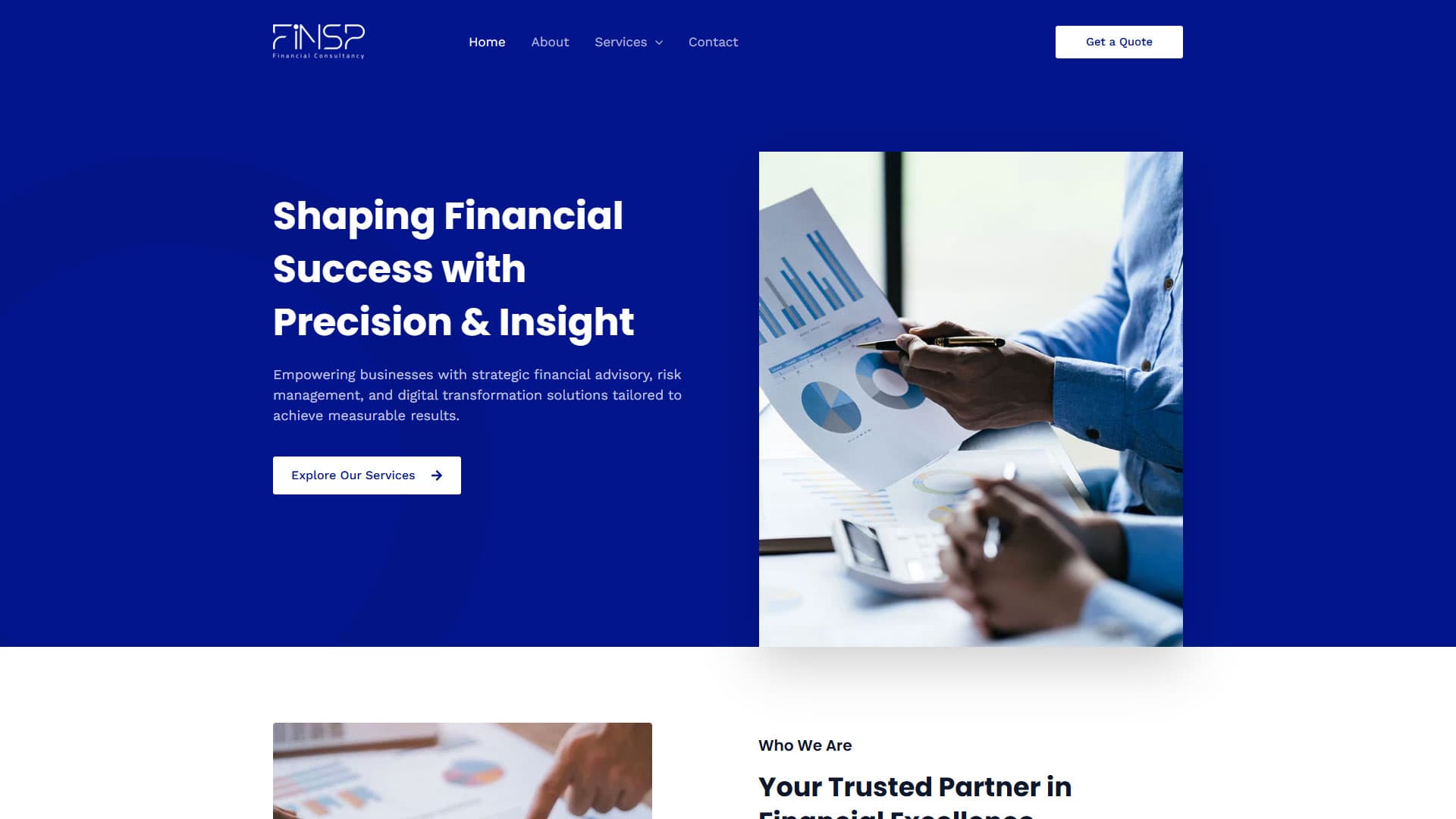 FINSP Financial Consultancy Corporate Web Presence