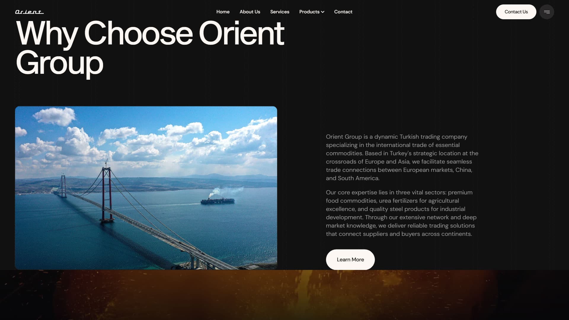 Orient Group International Commodities Web Presence